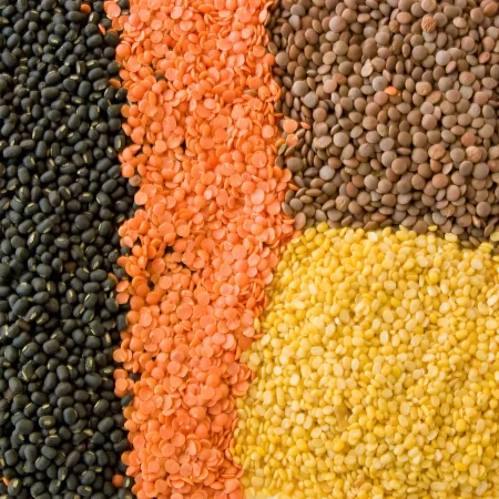 kinds lentils